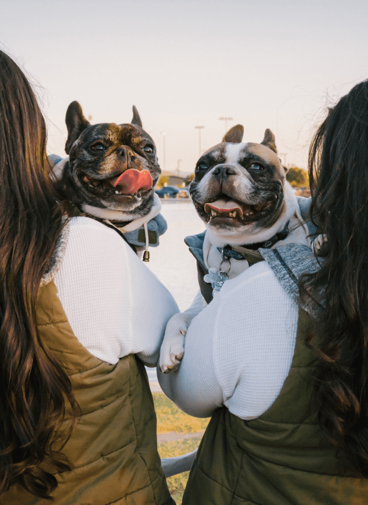 Text overlay over image states "Pet Duo Names". Two bulldogs being held up by two girls with brown hair (backs facing camera).