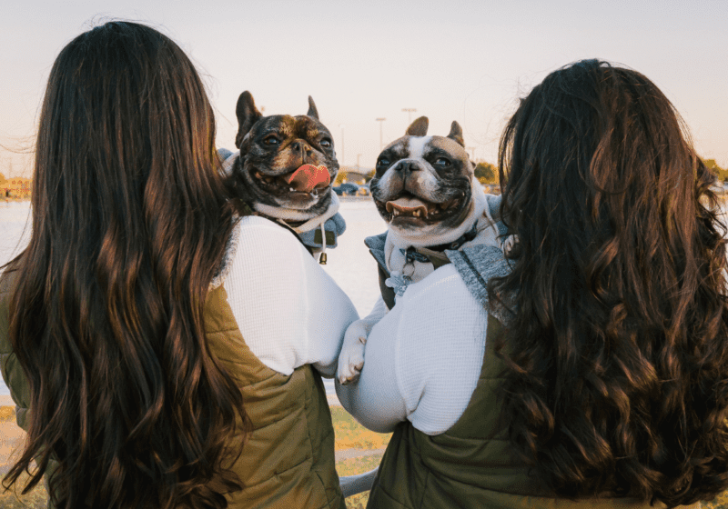 Text overlay over image states "Pet Duo Names". Two bulldogs being held up by two girls with brown hair (backs facing camera).