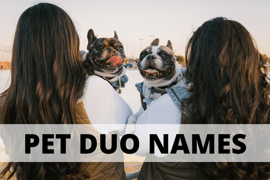 Text overlay over image states "Pet Duo Names".  Two bulldogs being held up by two girls with brown hair (backs facing camera). 