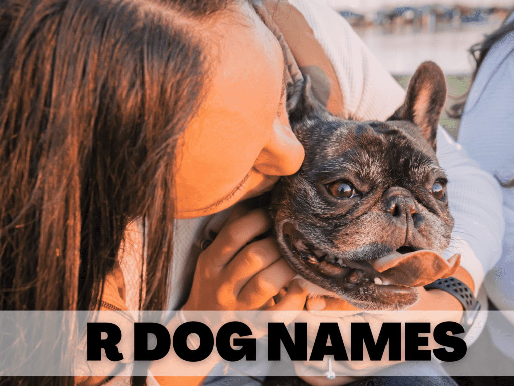 Text that reads R Dog Names. Under the text is a English bulldog being pet by a brown haired girl.