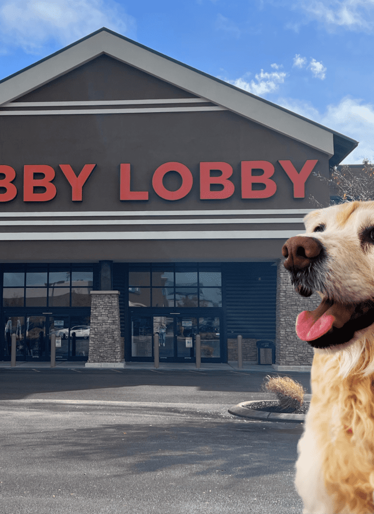 Photo of the outside of a Hobby Lobby store with a picture of a golden retriever dog over it.