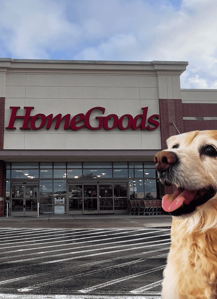Photo of the outside of HomeGoods with a golden retriever dog.