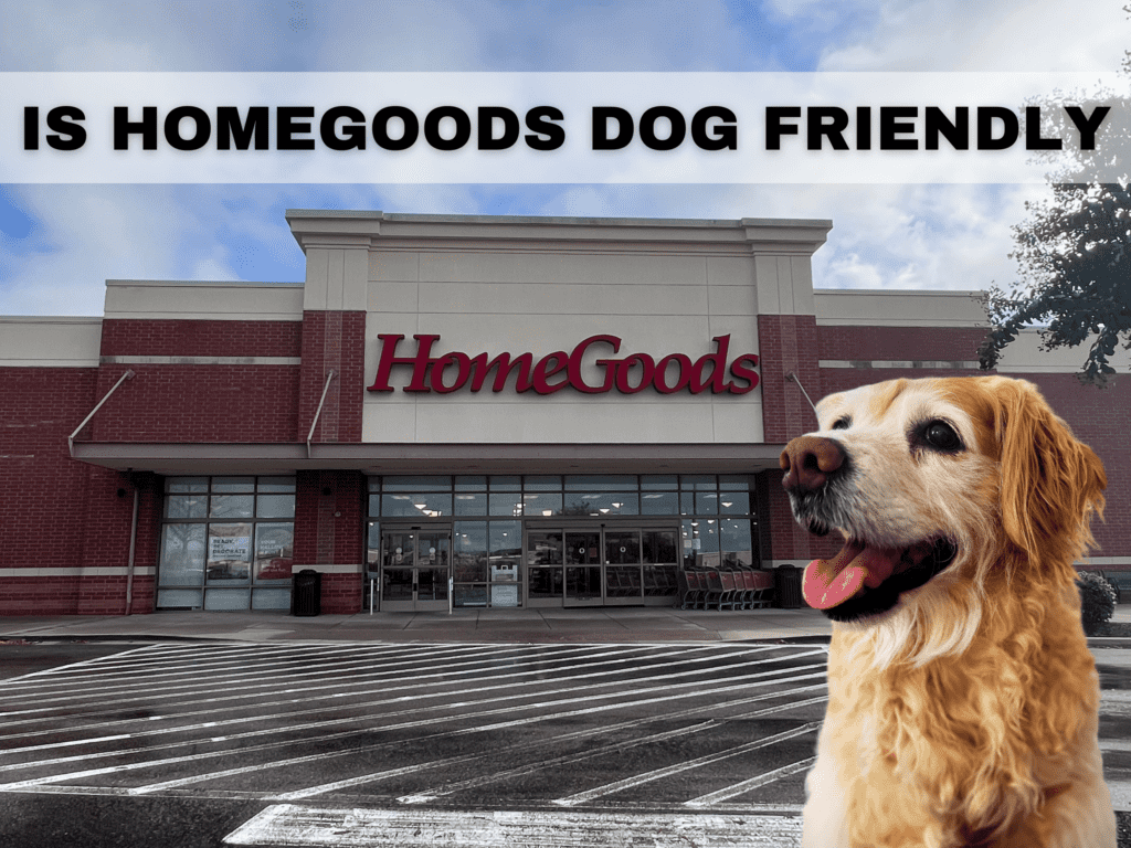 Text reads: Is HomeGoods Dog Friendly. Behind the text is a photo of the outside of a HomeGoods store with a golden retriever dog.