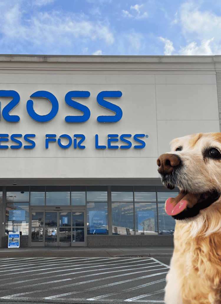 A photo of a ross store along with a golden retriever dog photo imposed over it.