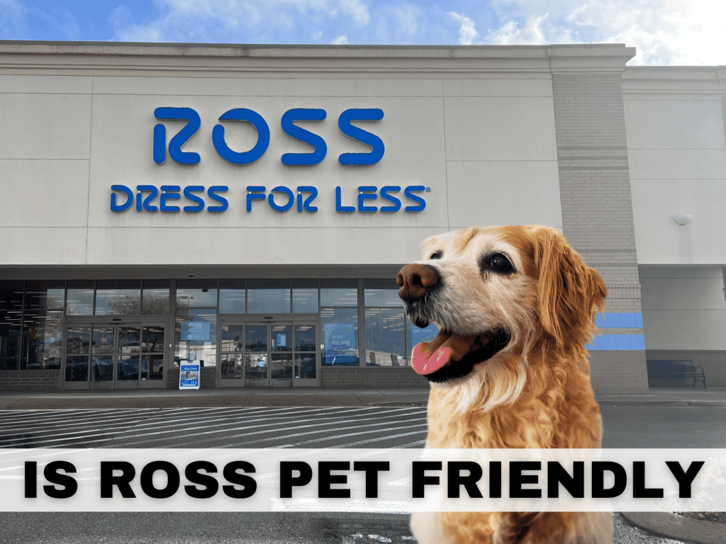 Text reads: Is Ross Pet friendly. Behind the text is a photo of a ross store along with a golden retriever dog photo imposed over it.