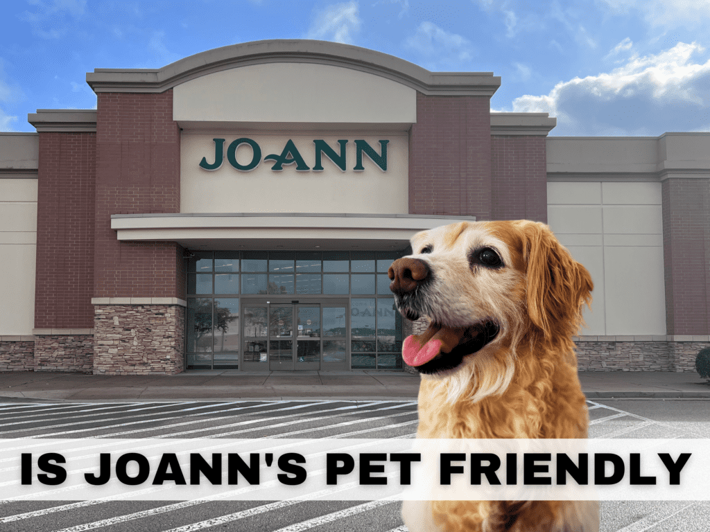 Text reads Is Joann's Pet Friendly. Under the text is a photo of the outside of Joann Fabrics with a golden retriever dog photo superimposed.
