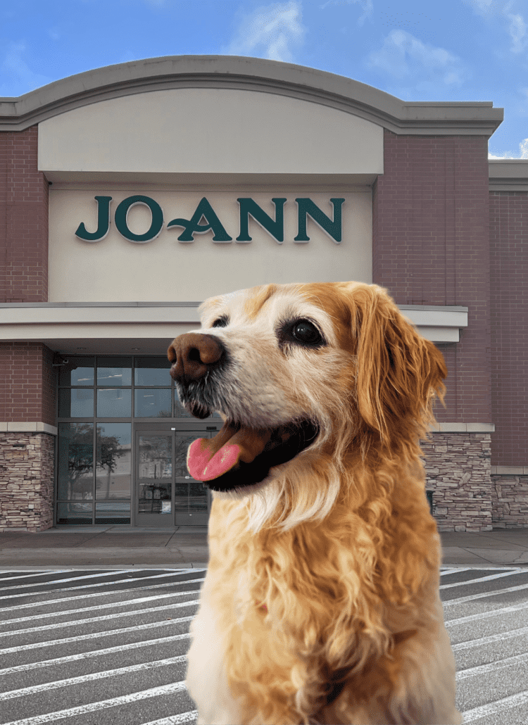 Photo of the outside of Joann Fabrics store with a photo of a golden retriever dog superimposed.