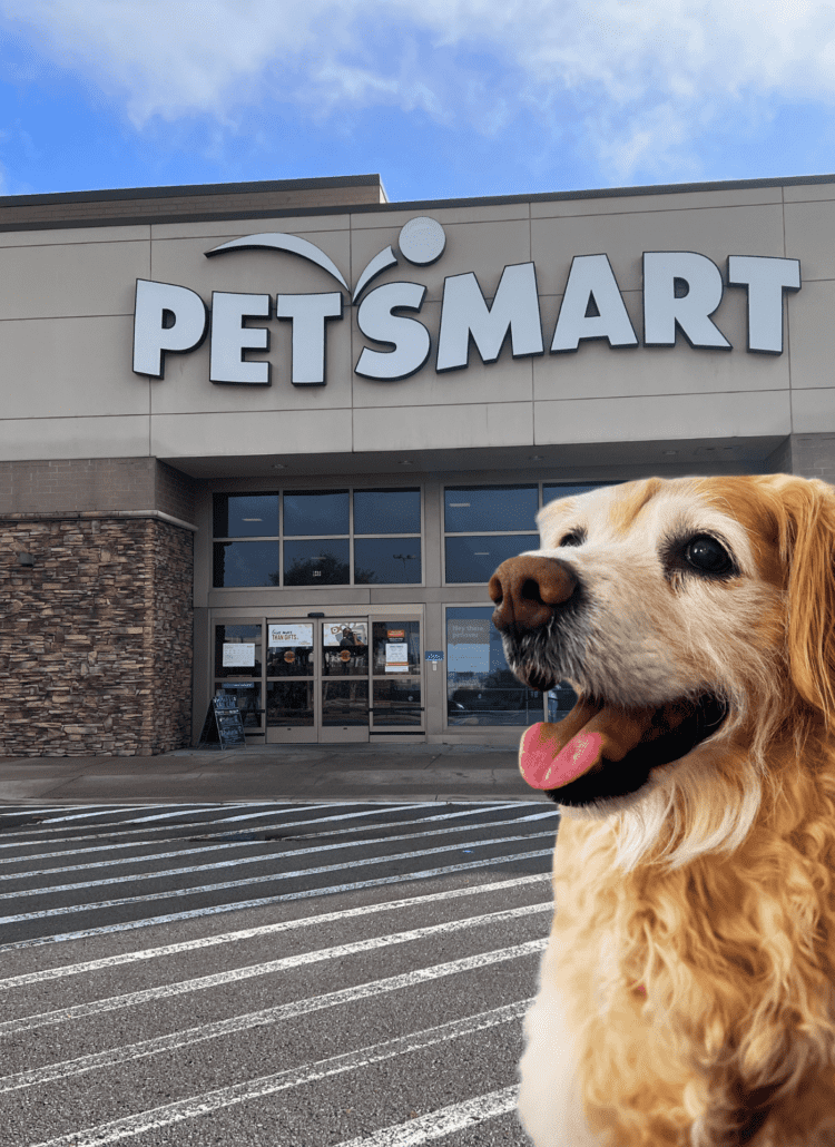 Photo of the outside of a PetSmart store with a golden retriever dog overlay.