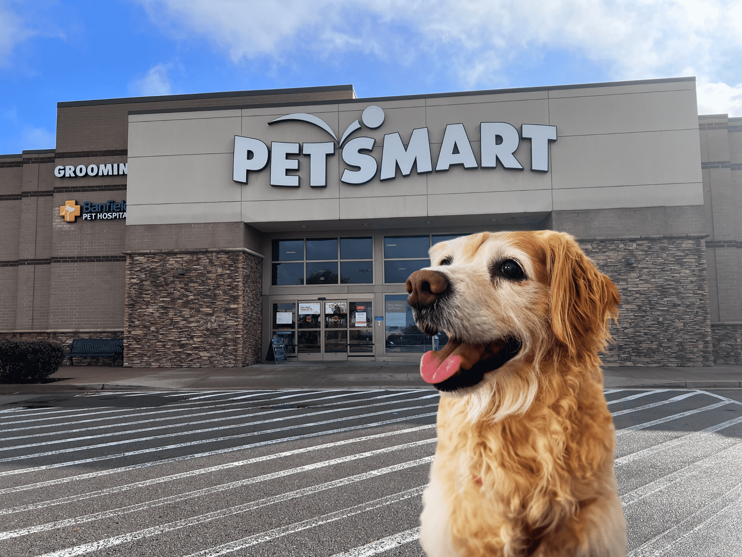 Are Dogs allowed in PetSmart Details of the pet policy you need to know