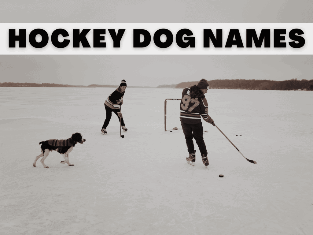 Text reads Hockey Dog Names. Under the text is a photo of a dog and his owners on an ice hockey rink.