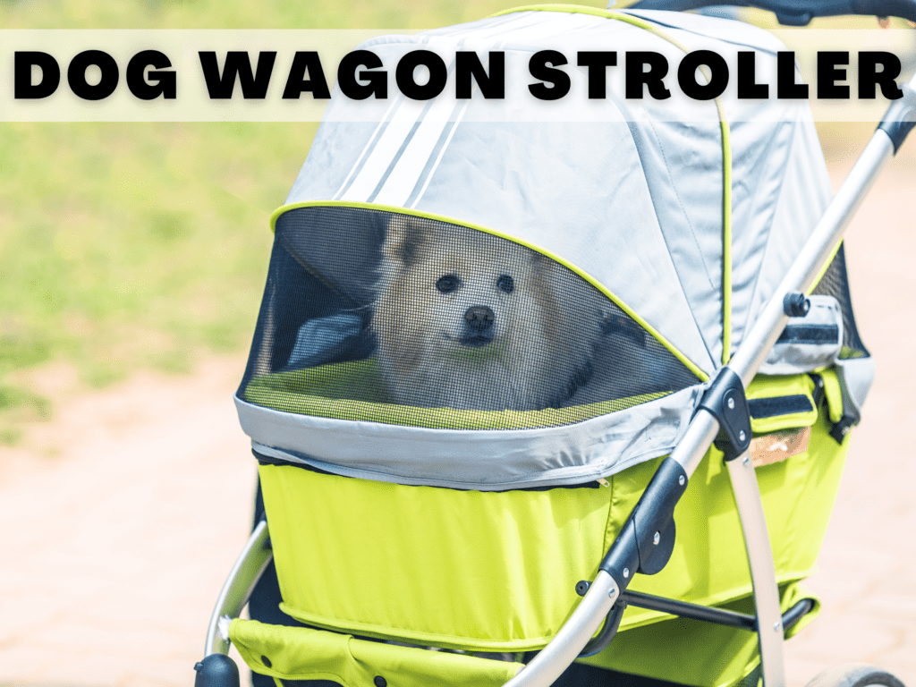 A dog sitting in a dog wagon stroller with the canopy up. Text reads dog wagon stroller.
